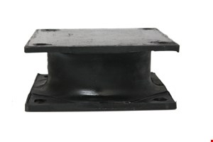 59600205